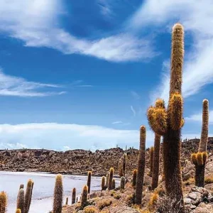 Mailbox Body & Fragrance Uyuni<TREATMENTS® Hot